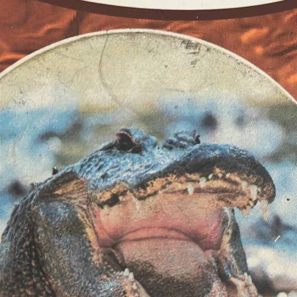 Set of 2 Alligator Gator Crocodile Ocean Beach Auto Stone Car Coasters Autostone